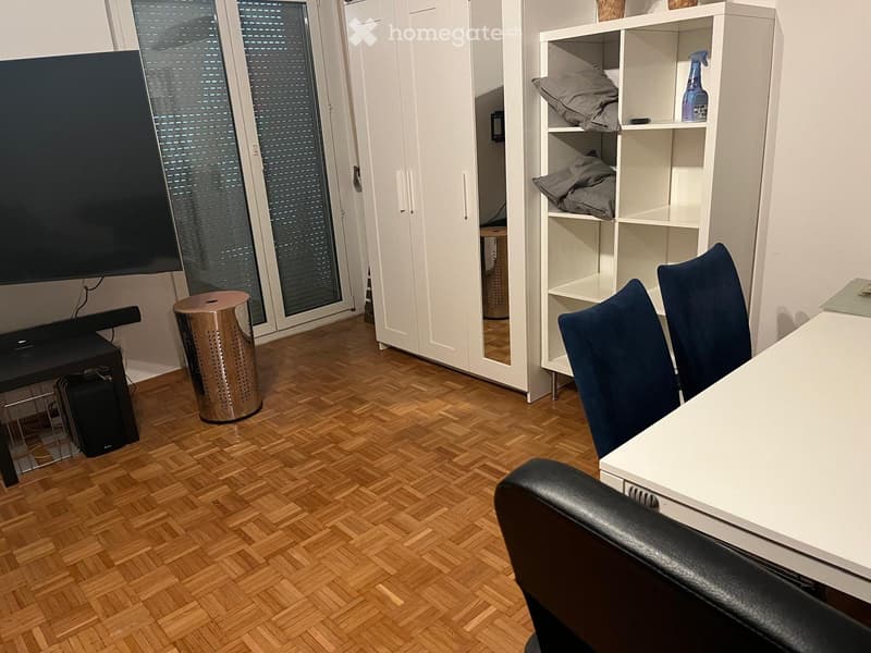 1.5 Zi, Stadt Winterthur, möbliert zur Dauermiete ab Okt/Nov (4)