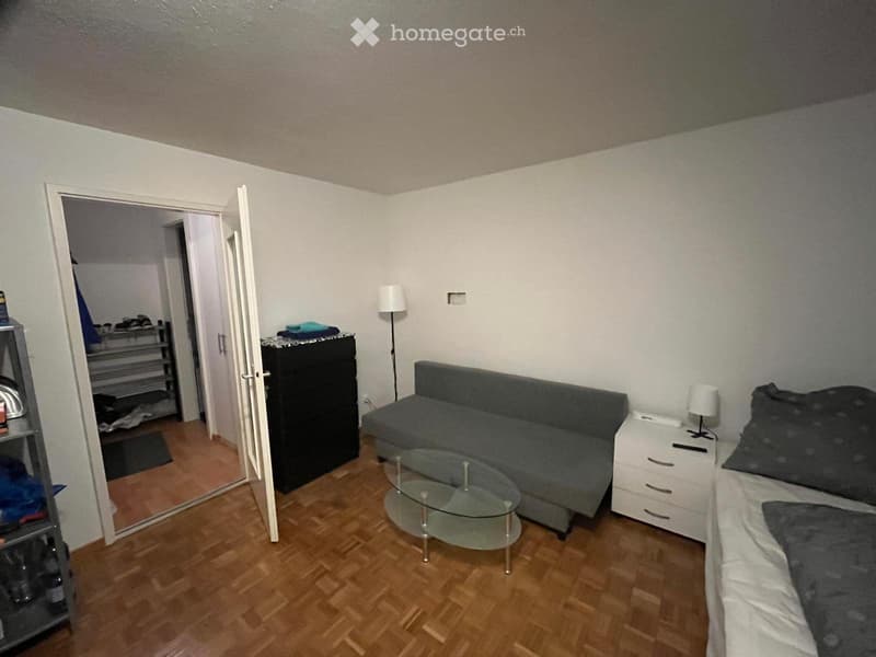 1.5 Zi, Stadt Winterthur, möbliert zur Dauermiete ab Okt/Nov (3)