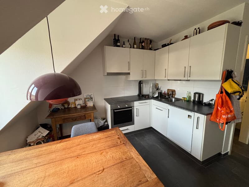 Helle 1.5 Wohnung mit Dachterasse im Bruchquartier (5)