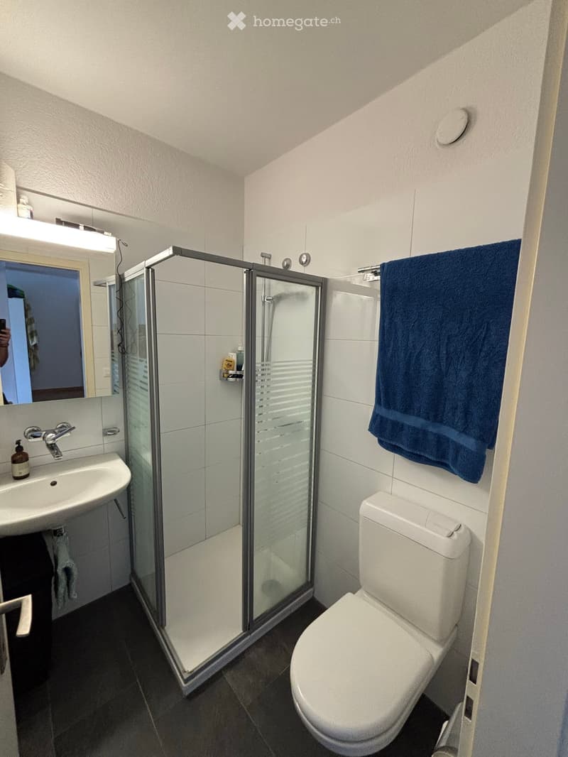 Helle 1.5 Wohnung mit Dachterasse im Bruchquartier (3)