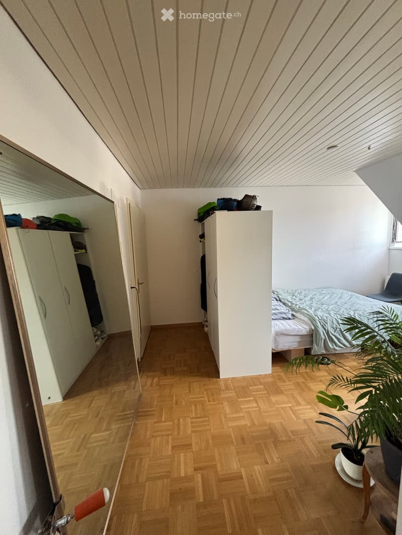 Helle 1.5 Wohnung mit Dachterasse im Bruchquartier (2)
