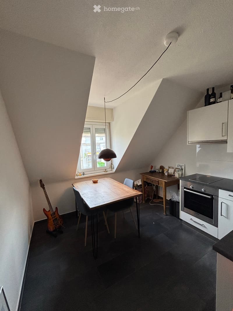 Helle 1.5 Wohnung mit Dachterasse im Bruchquartier (4)
