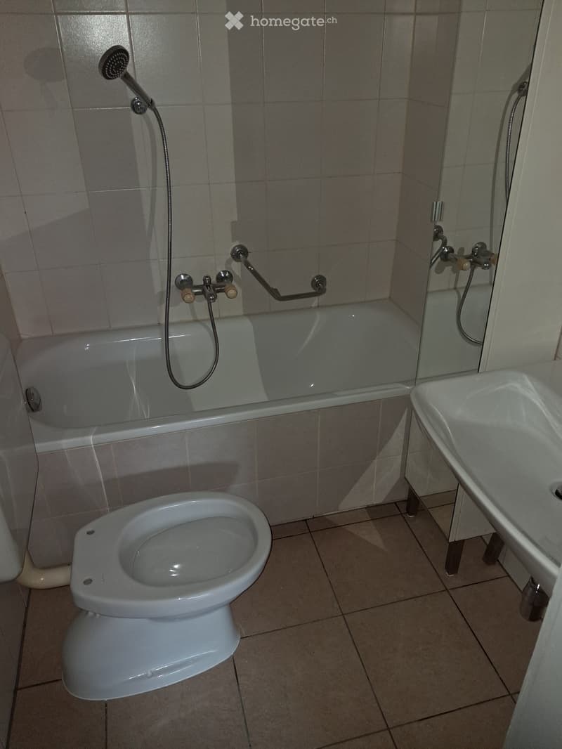 Bilocale a Viganello (3)