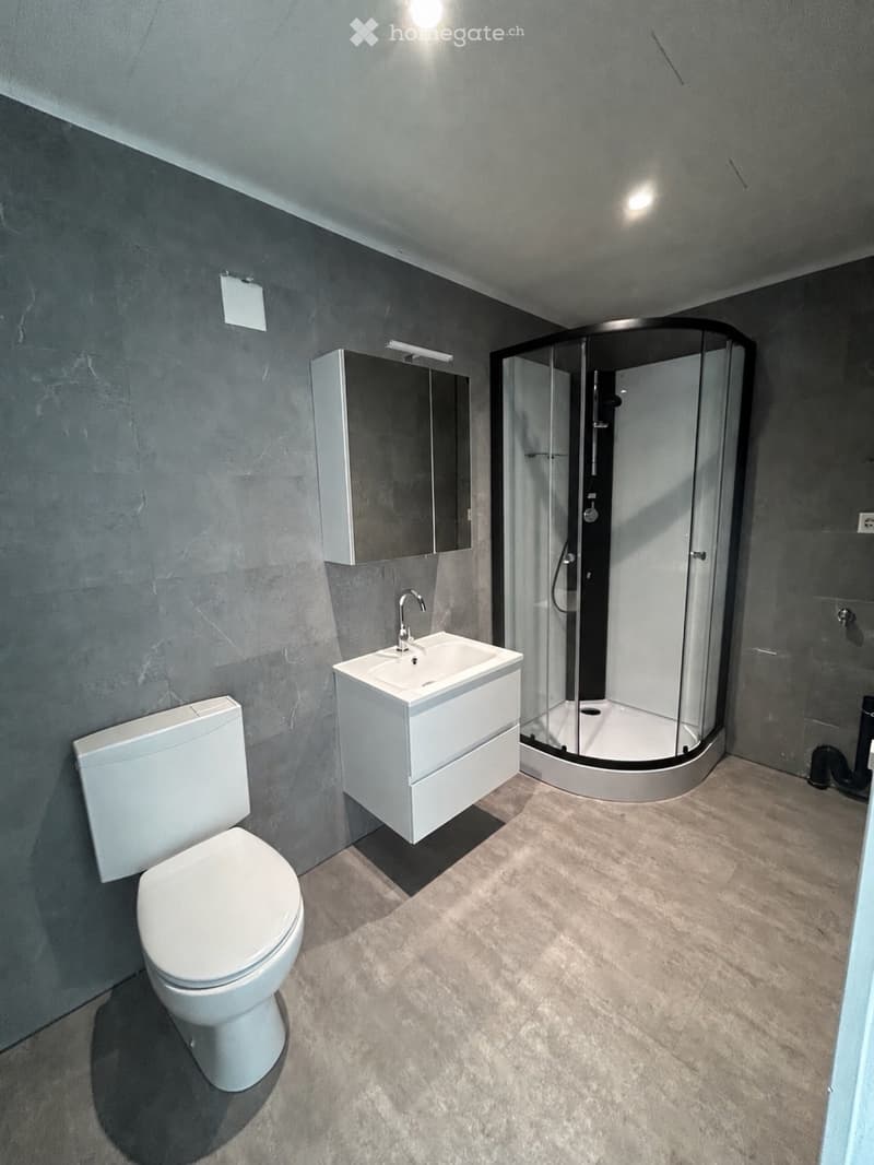 1 Zimmer Wohnung (4)