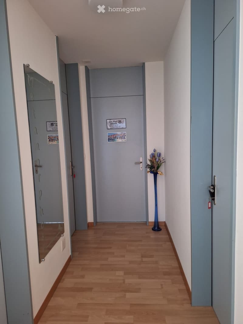 Befristete 2.5 Zimmer Wohnung zu vermieten (4)