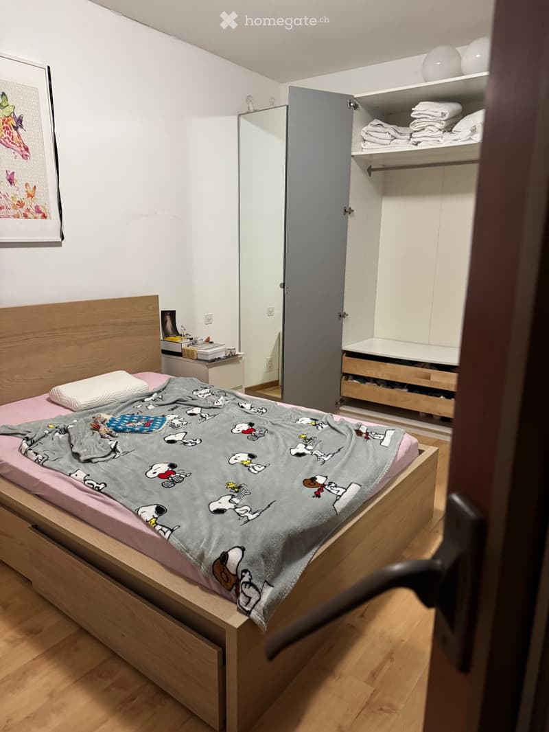 Cerco subentrante (4)