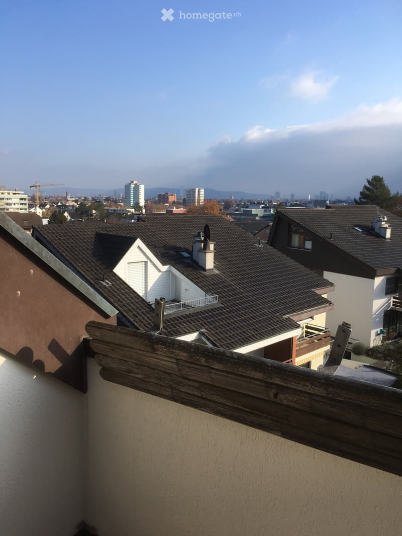 Renovierte helle 2.5. Zimmer Dachwohnung in Allschwil (4)