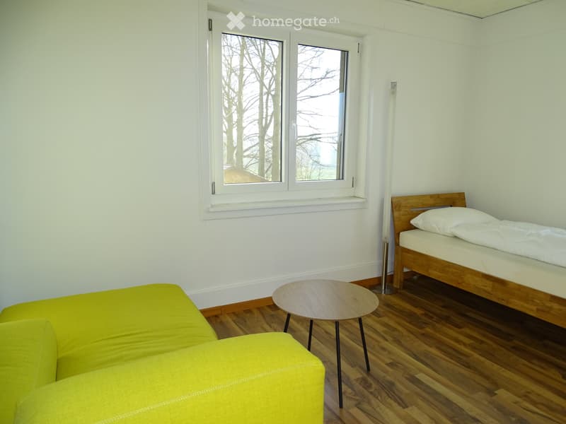Schönes, helles und möbliertes WG Zimmer in EF Haus (4)