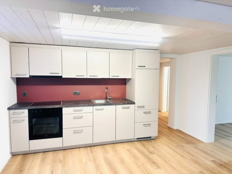 Neu renovierte 3-Zimmer Wohnung mit idyllischem Sitzplatz (1)