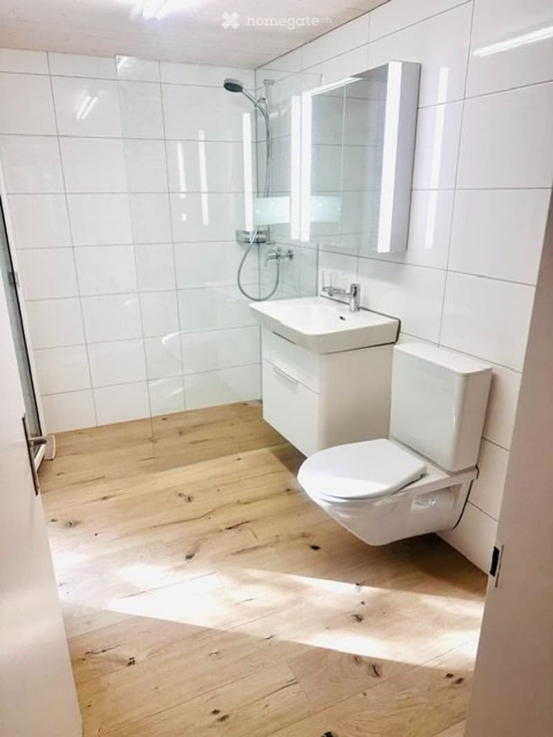 Neu renovierte 3-Zimmer Wohnung mit idyllischem Sitzplatz (4)
