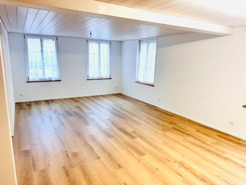 Neu renovierte 3-Zimmer Wohnung mit idyllischem Sitzplatz (2)