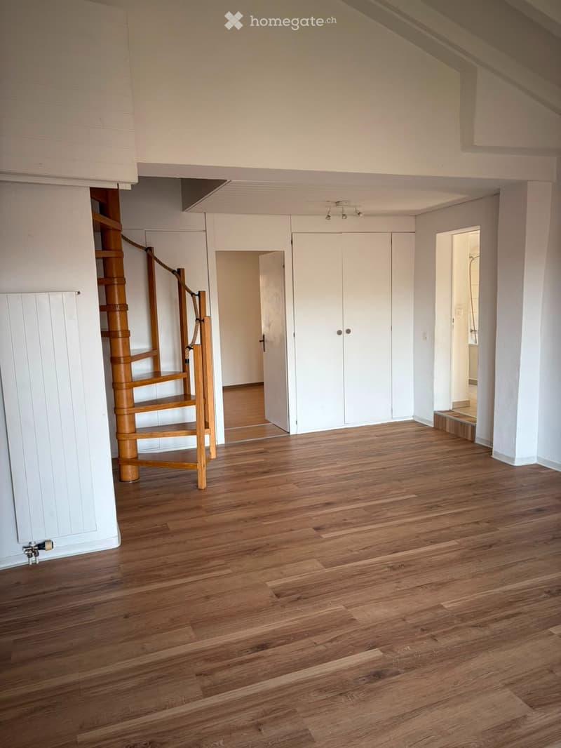 Appartamento 3 ½ oltre locale abitabile al PT (5)