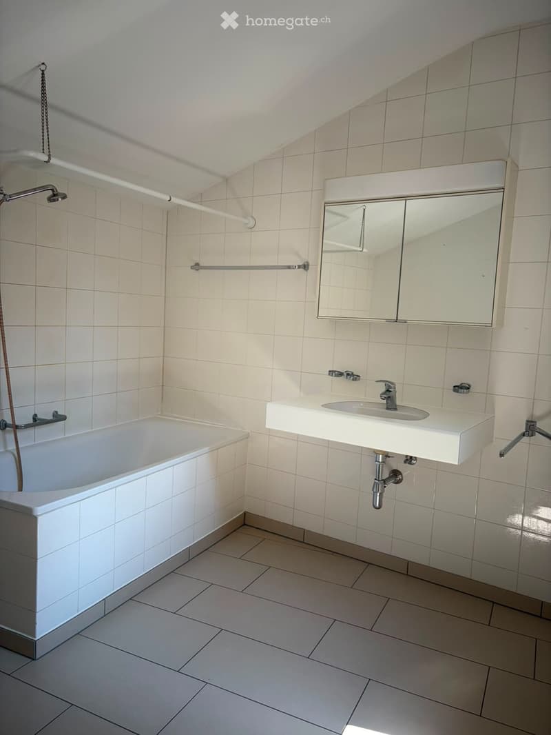Appartamento 3 ½ oltre locale abitabile al PT (4)