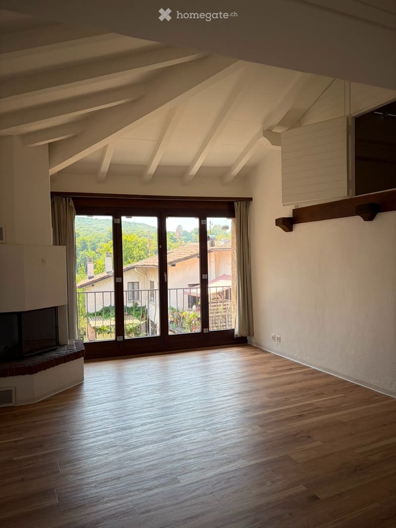 Appartamento 3 ½ oltre locale abitabile al PT (1)