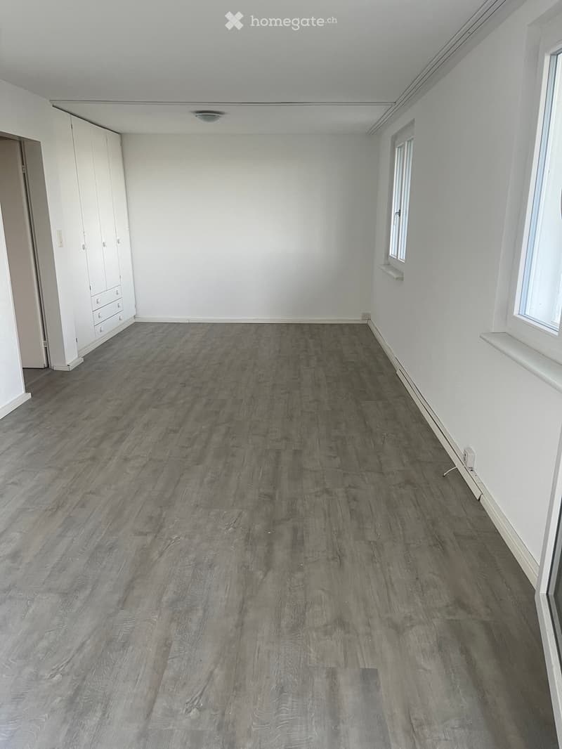 Ruhige 1.5-Zi. Einliegerwohnung mit traumhafter Seesicht (2)