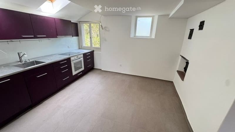 Renoviertes 6.5 Zimmer Haus in Hölstein BL zu vermieten (4)