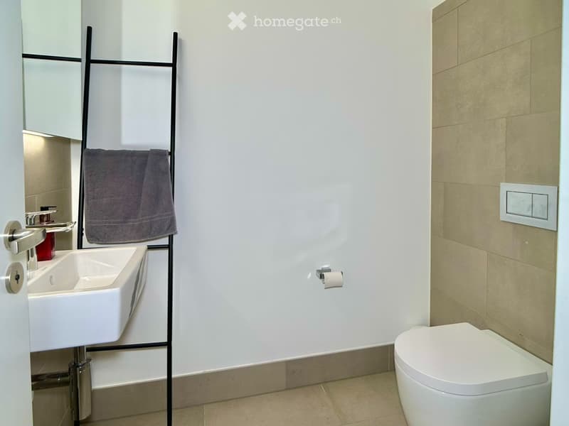 Befristet, möbliert: Moderne Maisonette mit Dachgarten (10)