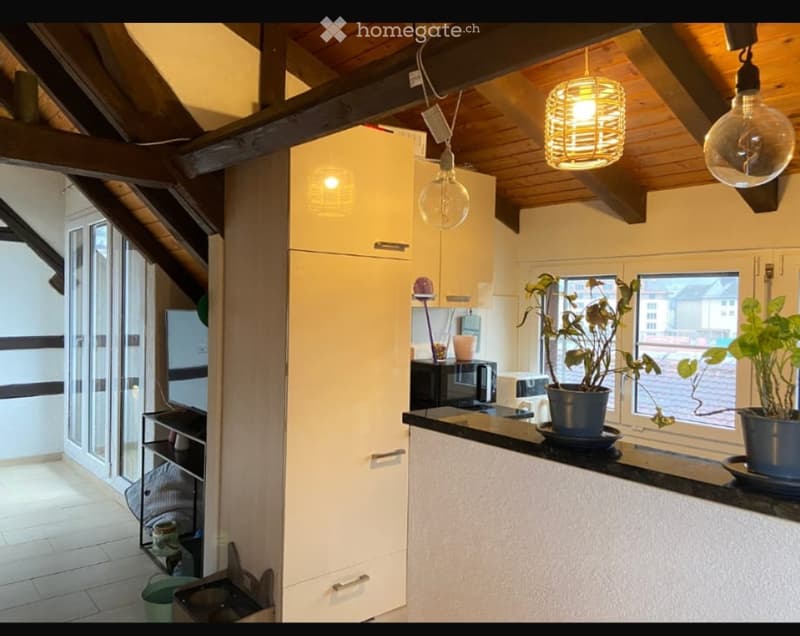 Ruhige Wohnung im Grünen 3.5 Zimmer (3)