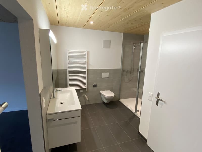 Grosse 4.5 Zi Duplex-Wohnung (146m2) im Grünen mit Terrasse (4)