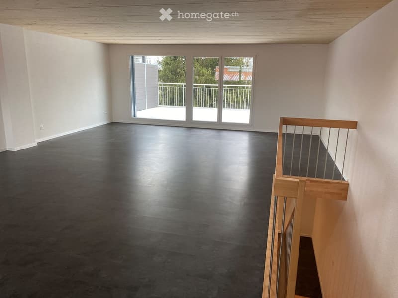Grosse 4.5 Zi Duplex-Wohnung (146m2) im Grünen mit Terrasse (3)