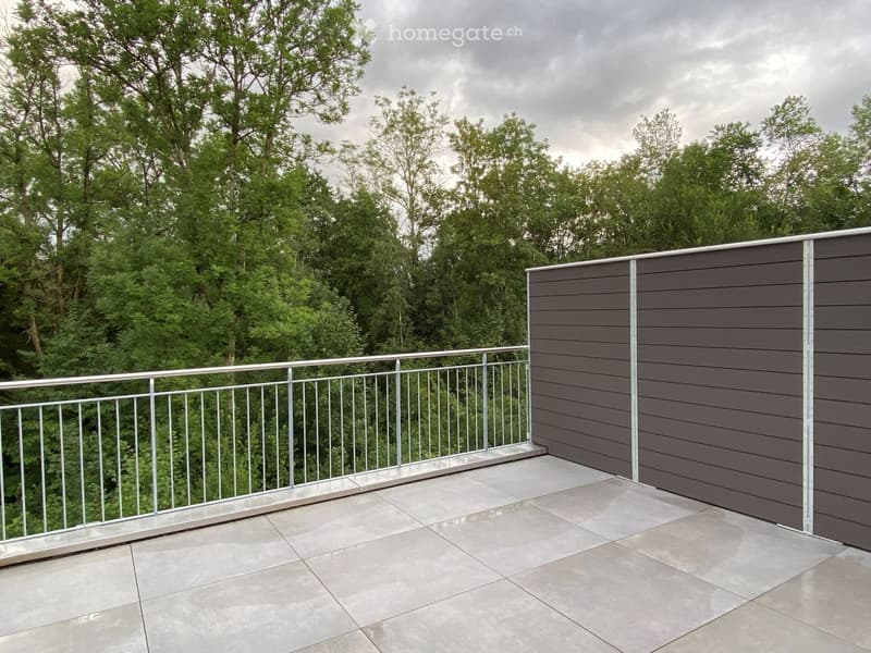 Grosse 4.5 Zi Duplex-Wohnung (146m2) im Grünen mit Terrasse (1)
