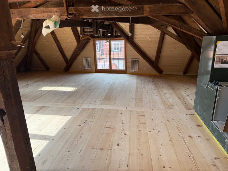 Ersvermieting Loft Altstadtwohnung mit Balkon und Galerie (1)