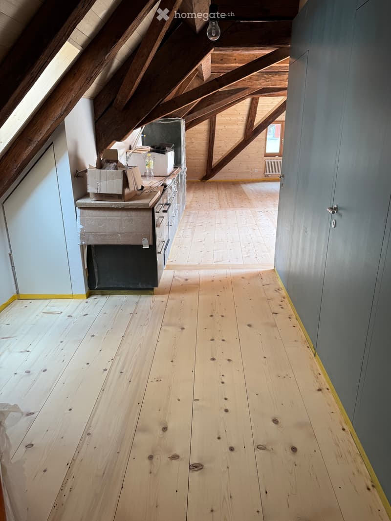 Ersvermieting Loft Altstadtwohnung mit Balkon und Galerie (2)