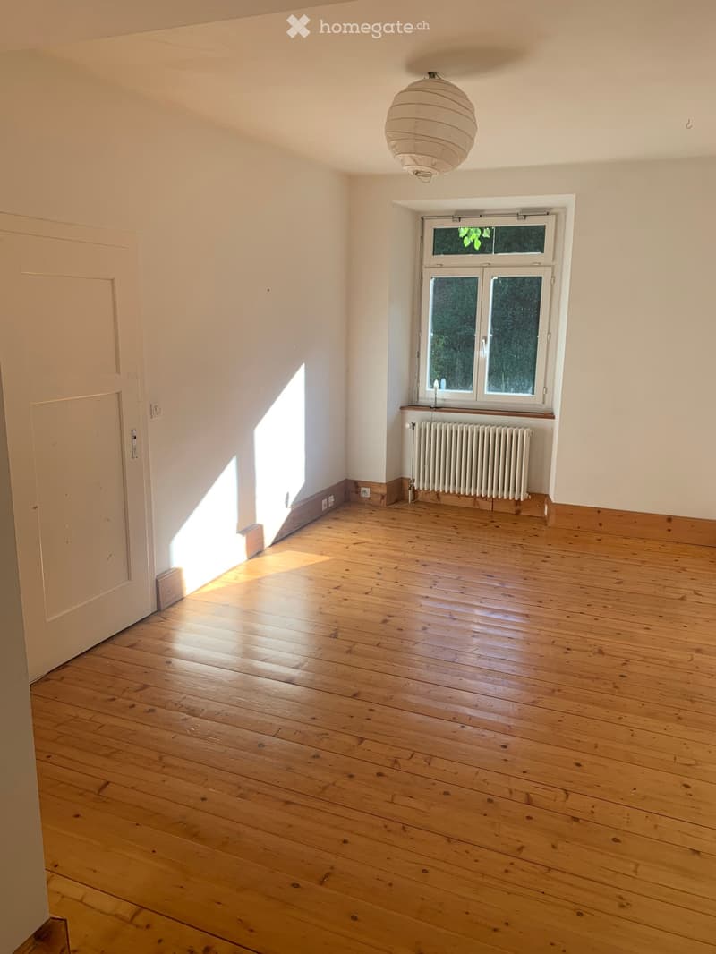 7-Zimmer-Wohnung in Hausgemeinschaft in Beinwil SO m. Garten (4)