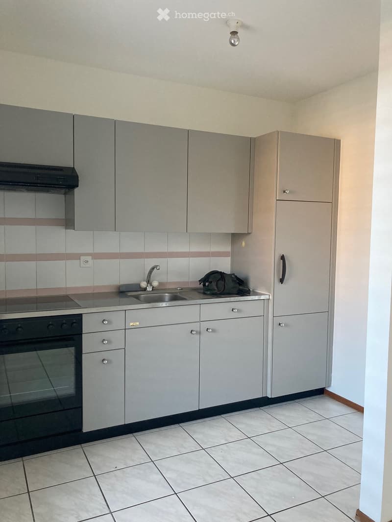 Appartamento 2,5 locali (4)