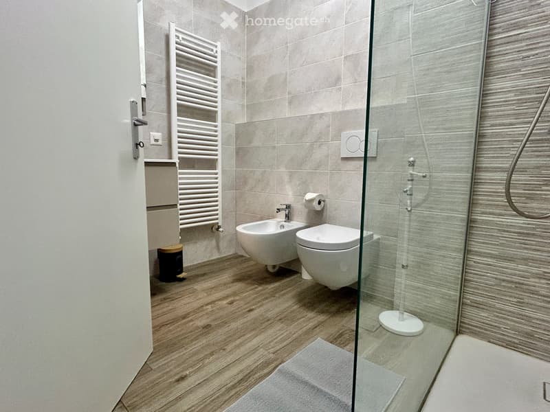 Affitto Appartamento 2.5 arredato - 1600fr (3)