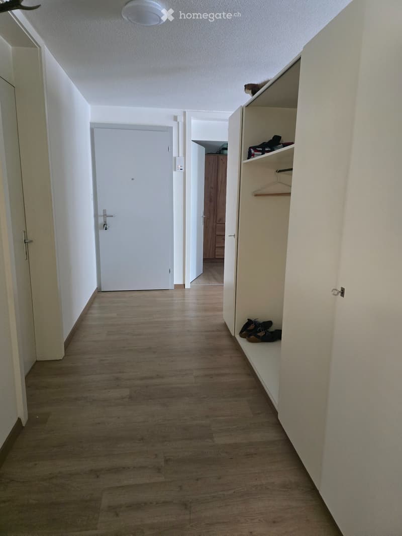 Wohnung zu vermieten (2)