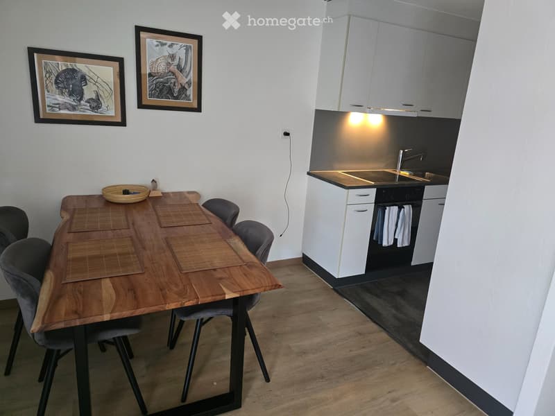 Wohnung zu vermieten (5)