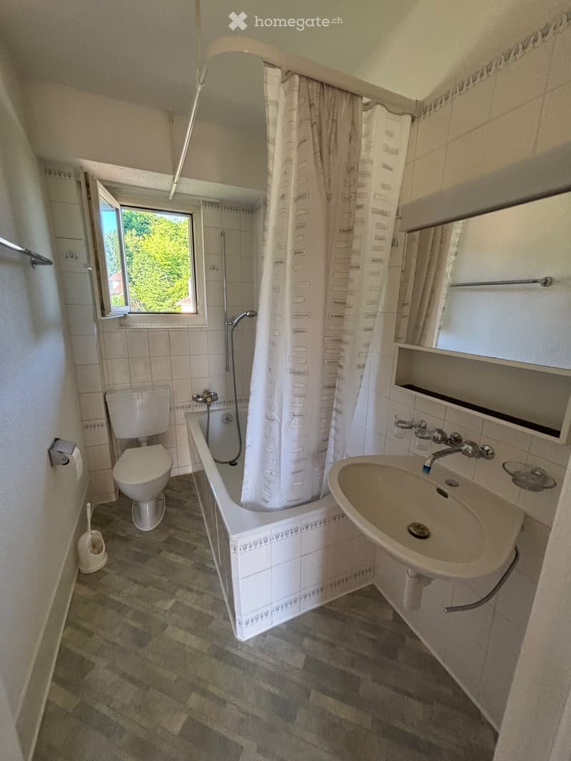 Schöne Altbau 4.5 Zimmerwohnung zu vermieten . (4)