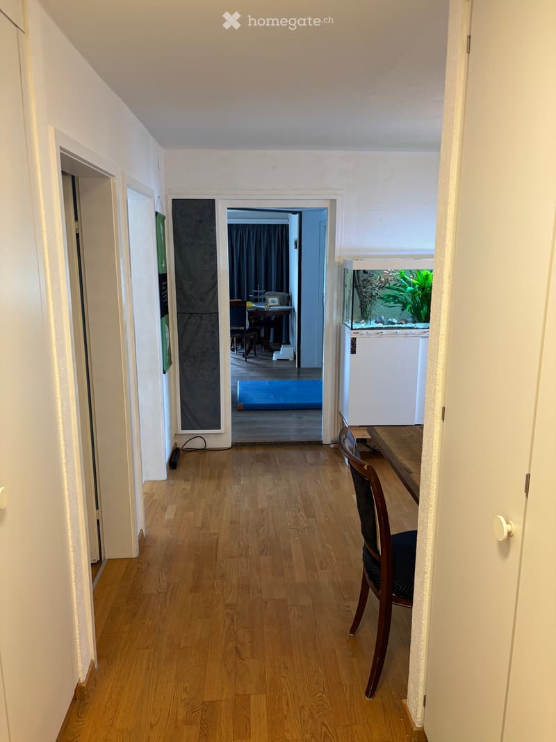2 Zimmer für einen MANN, Adliswil (1)