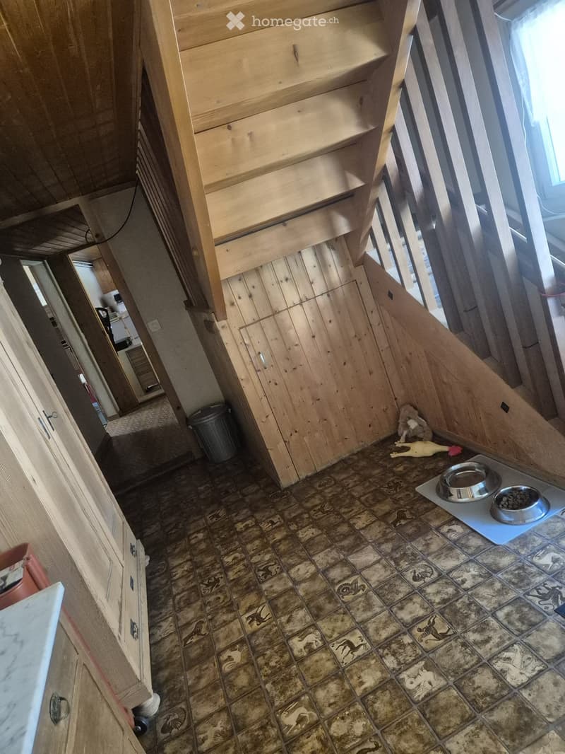 Nachmieter gesucht (4)