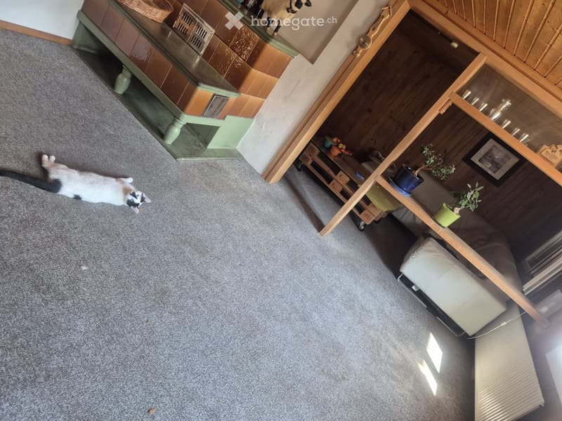 Nachmieter gesucht (2)