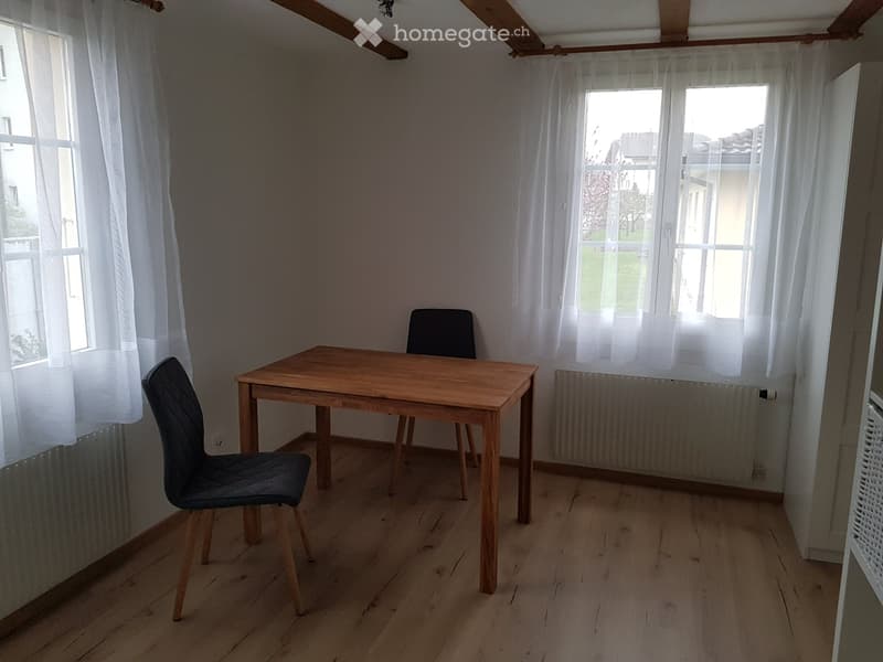 möbilierte 1-Zi-Wohnung (2)