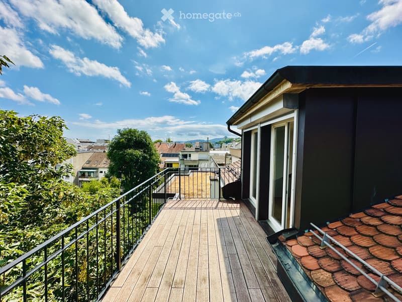 Charmante Loft-Dachwohnung an der Beinwilerstrasse in Basel (5)