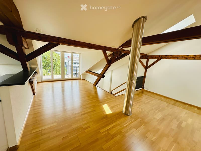 Charmante Loft-Dachwohnung an der Beinwilerstrasse in Basel (2)