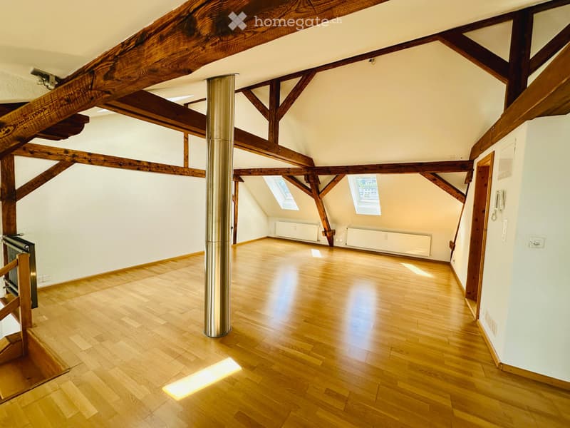 Charmante Loft-Dachwohnung an der Beinwilerstrasse in Basel (3)