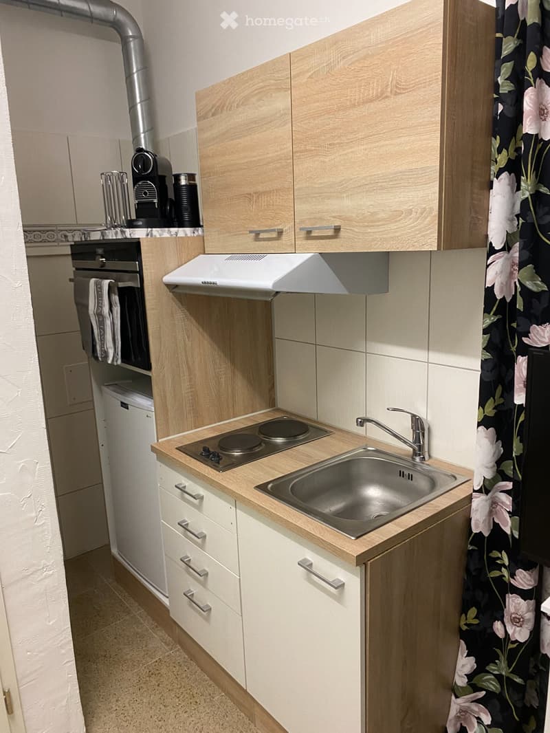 1 Zimmerwohnung (Studio im EG) ruhig gelegen (3)