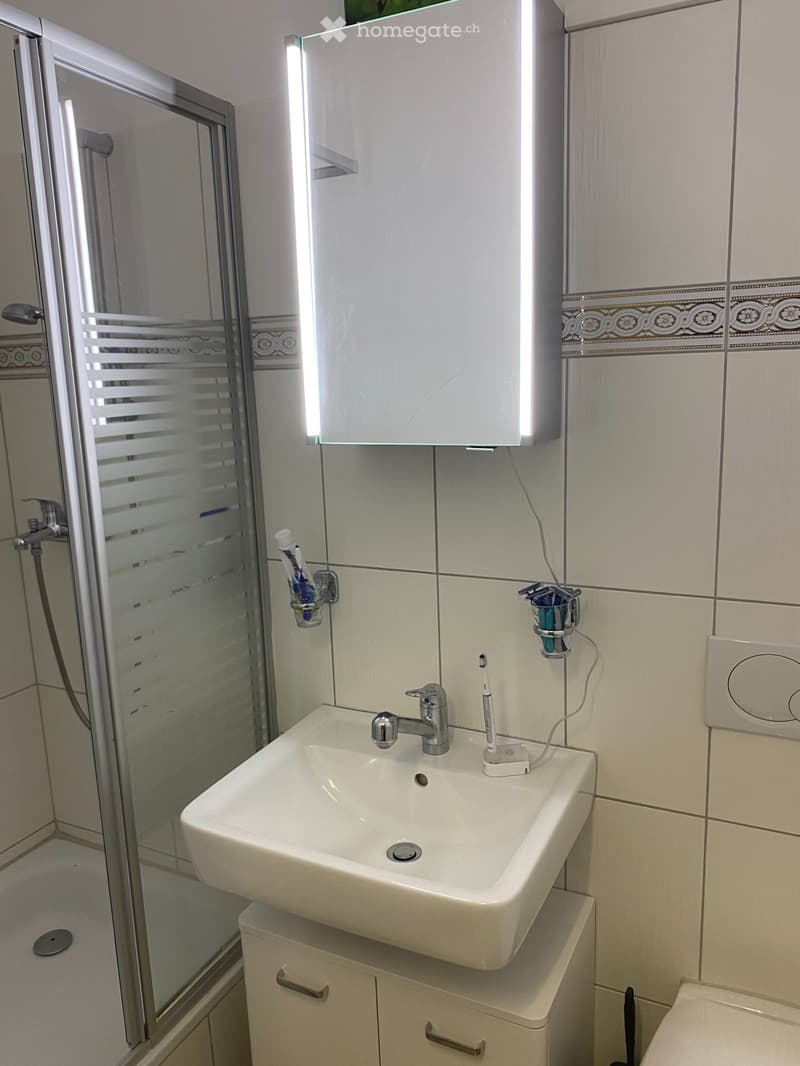 1 Zimmerwohnung (Studio im EG) ruhig gelegen (5)