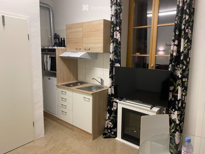 1 Zimmerwohnung (Studio im EG) ruhig gelegen (2)