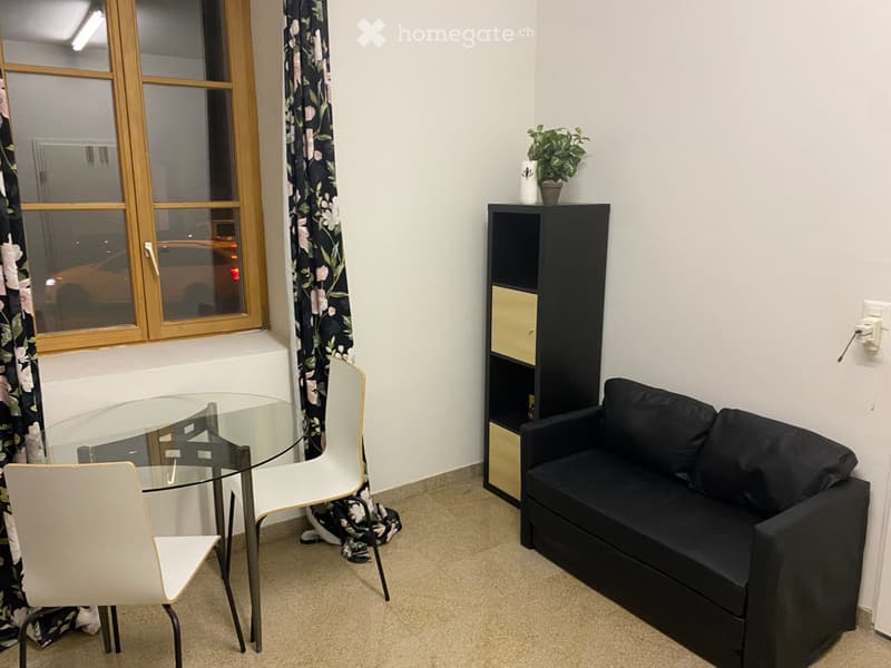 1 Zimmerwohnung (Studio im EG) ruhig gelegen (4)