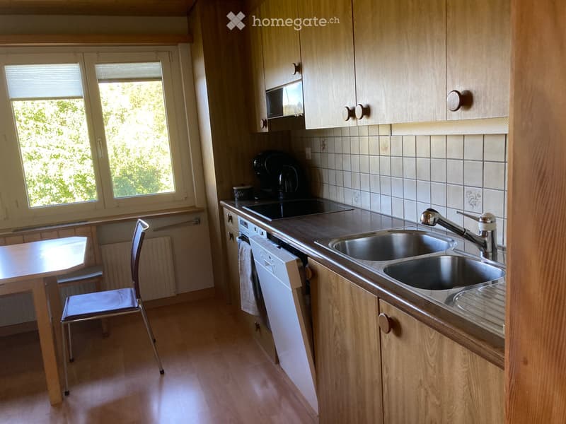 Grosse möblierte 3.5 Stöckliwohnung EG auf Zeit zu vermieten (3)
