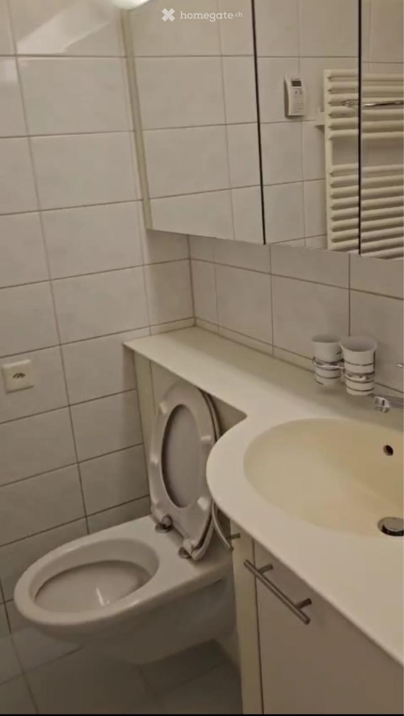 3,5 Zimmerwohnung in Gossau ZH (4)