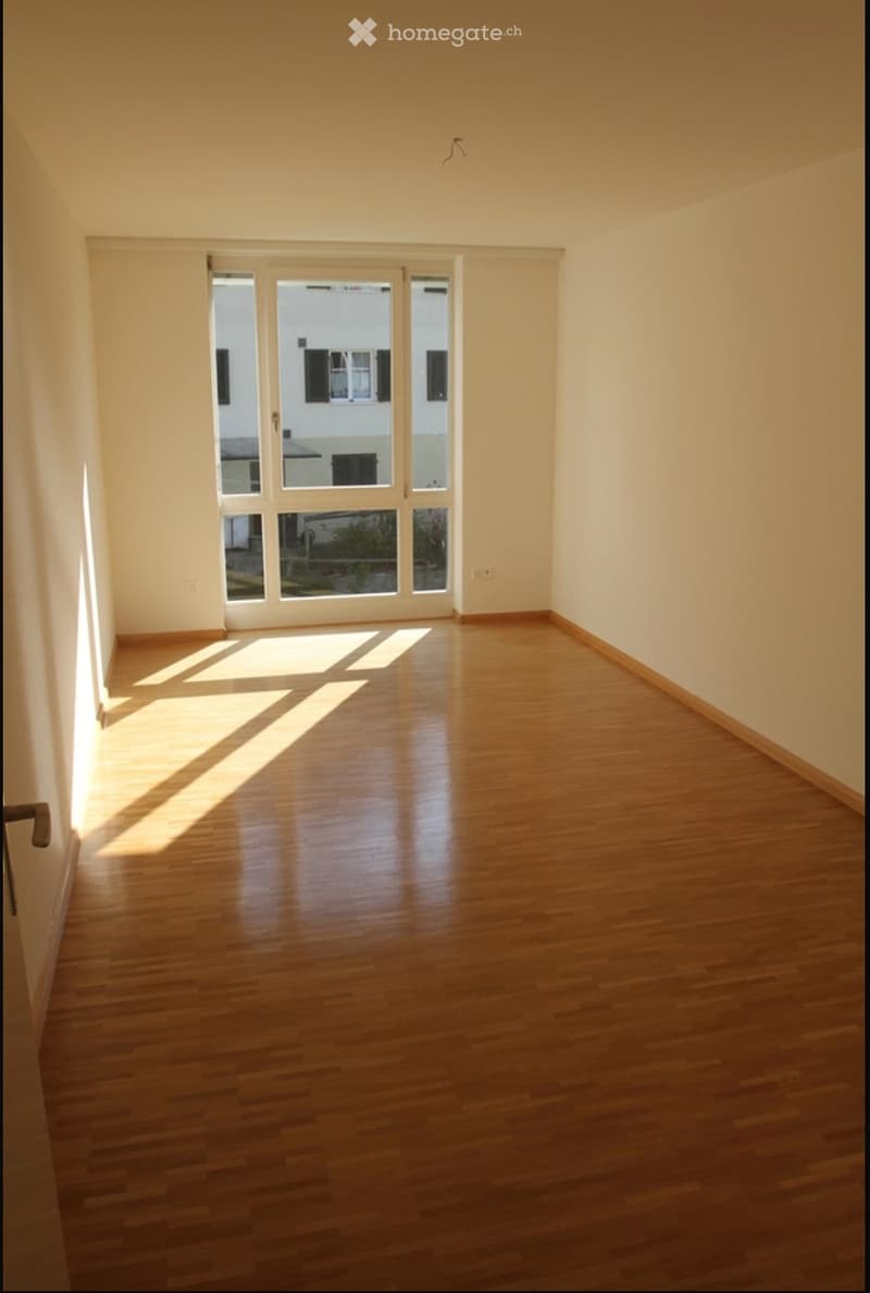 Sonnige und geräumige 4.5 Z'Wohnung in Bettingen/Basel-Stadt (4)