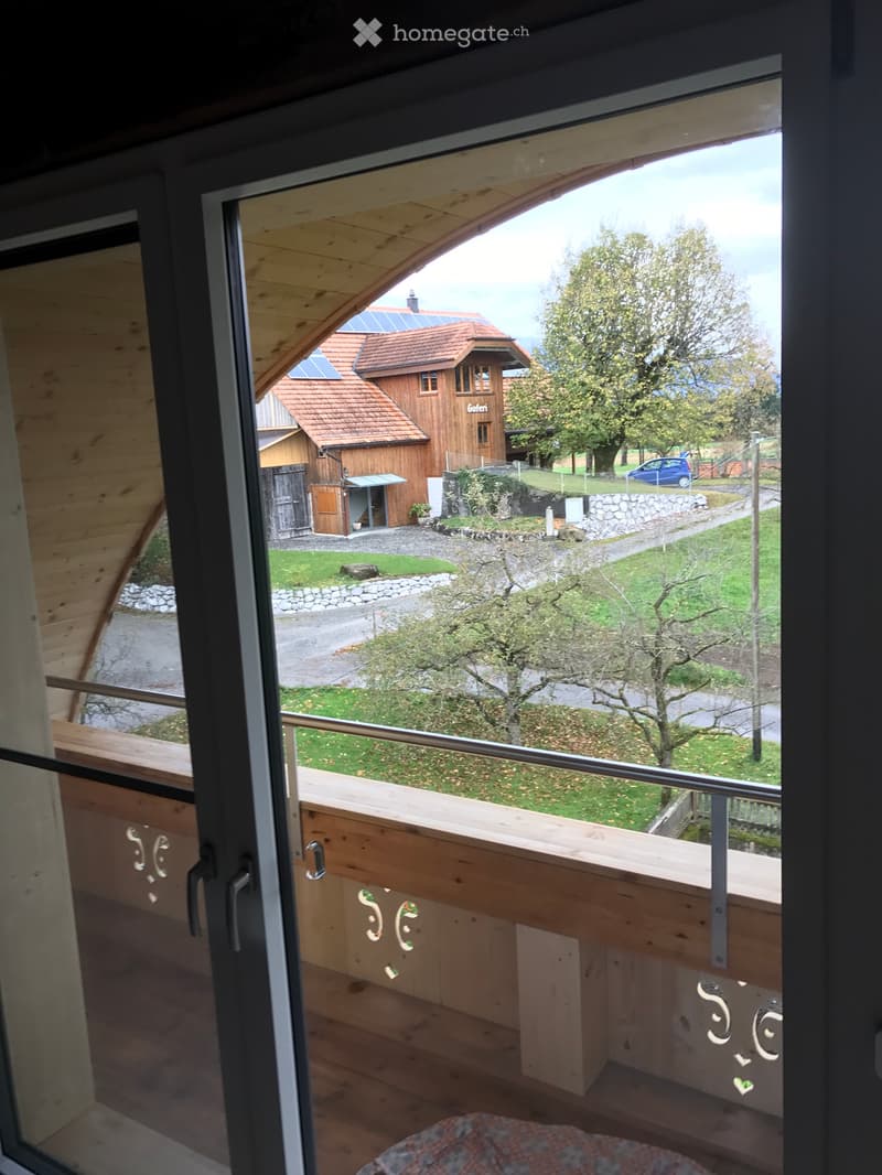 2,5 Zimmer Wohnung auf Bauernhof (5)