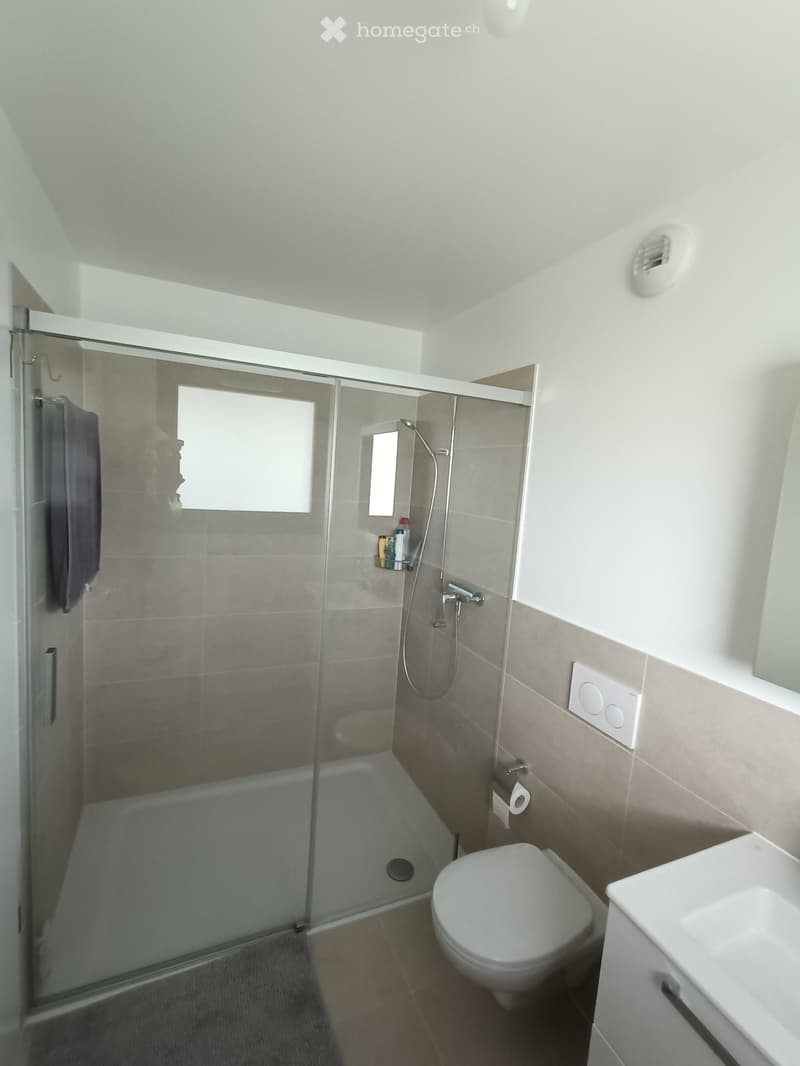 Modern Apartment in Confignon (5)