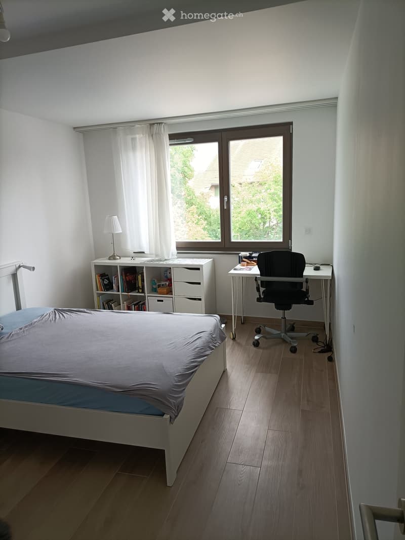 Modern Apartment in Confignon (3)